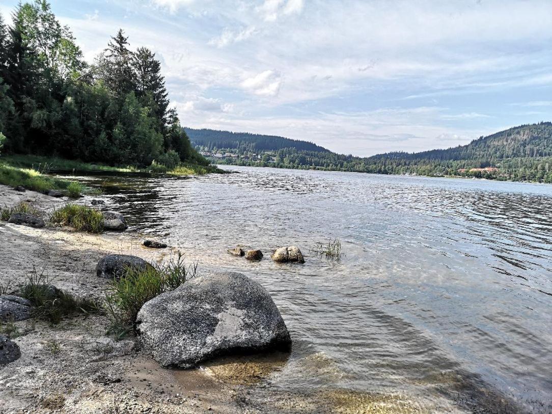 B1 Albmatte-Fewo Sauna, Hallenbad Aussenbecken Massagen Nebenan Менценшванд Екстер'єр фото