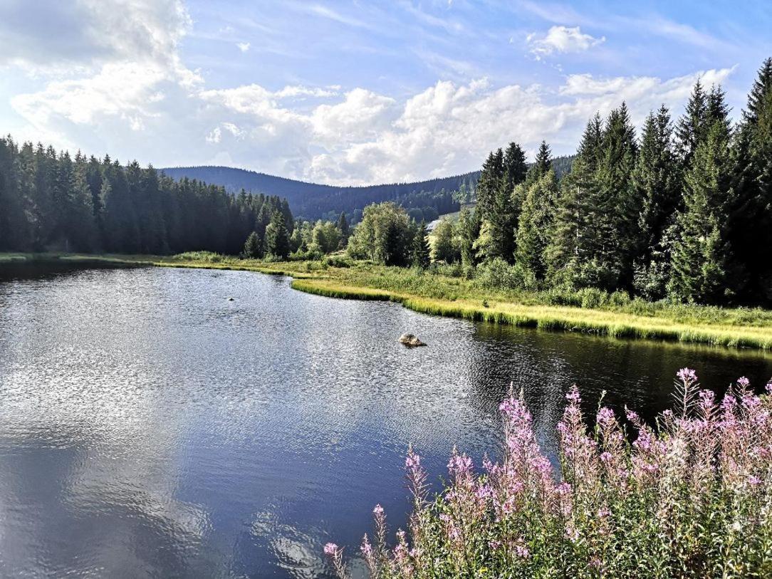 B1 Albmatte-Fewo Sauna, Hallenbad Aussenbecken Massagen Nebenan Менценшванд Екстер'єр фото