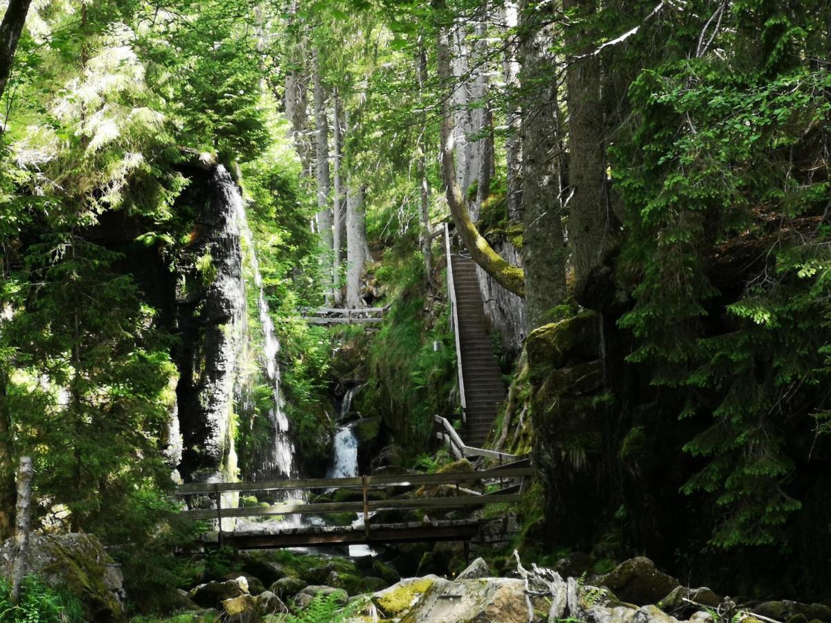 B1 Albmatte-Fewo Sauna, Hallenbad Aussenbecken Massagen Nebenan Менценшванд Екстер'єр фото