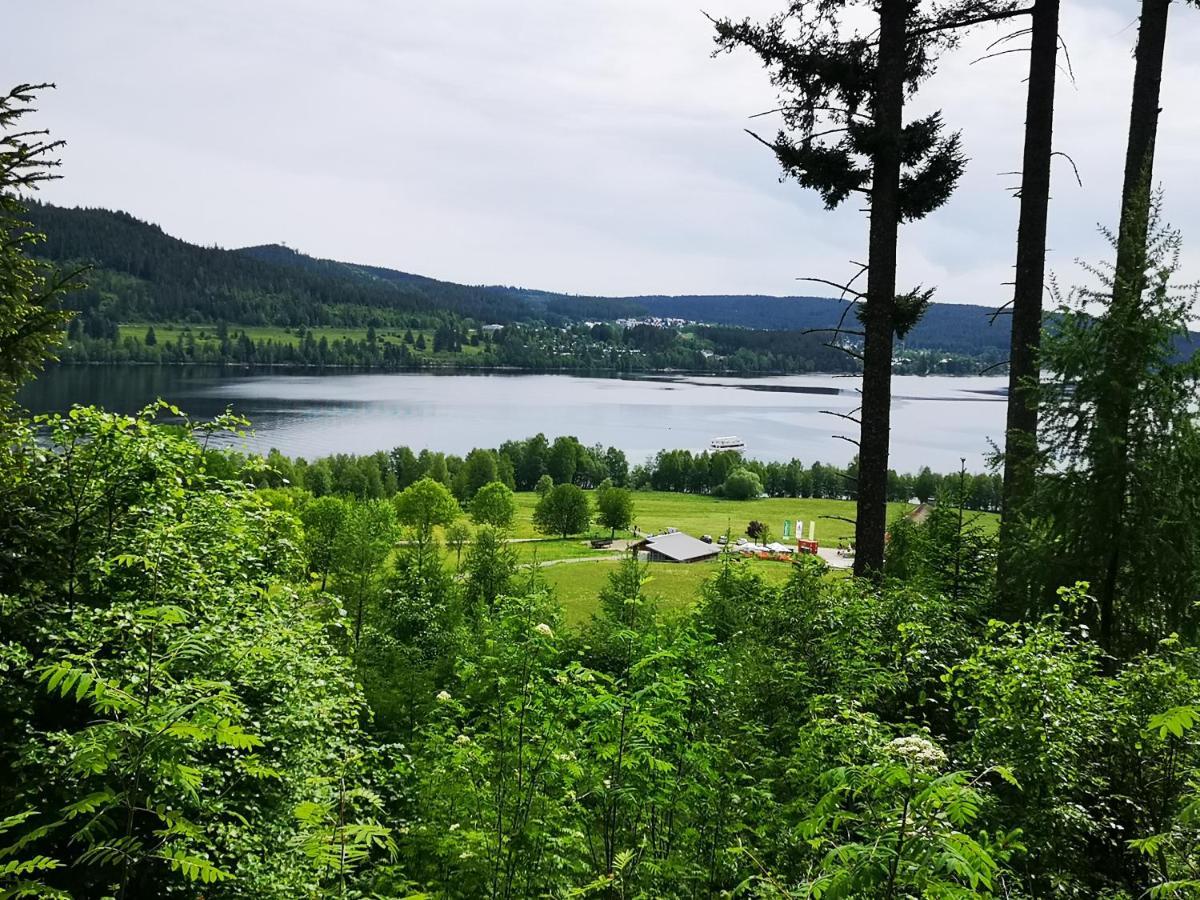 B1 Albmatte-Fewo Sauna, Hallenbad Aussenbecken Massagen Nebenan Менценшванд Екстер'єр фото