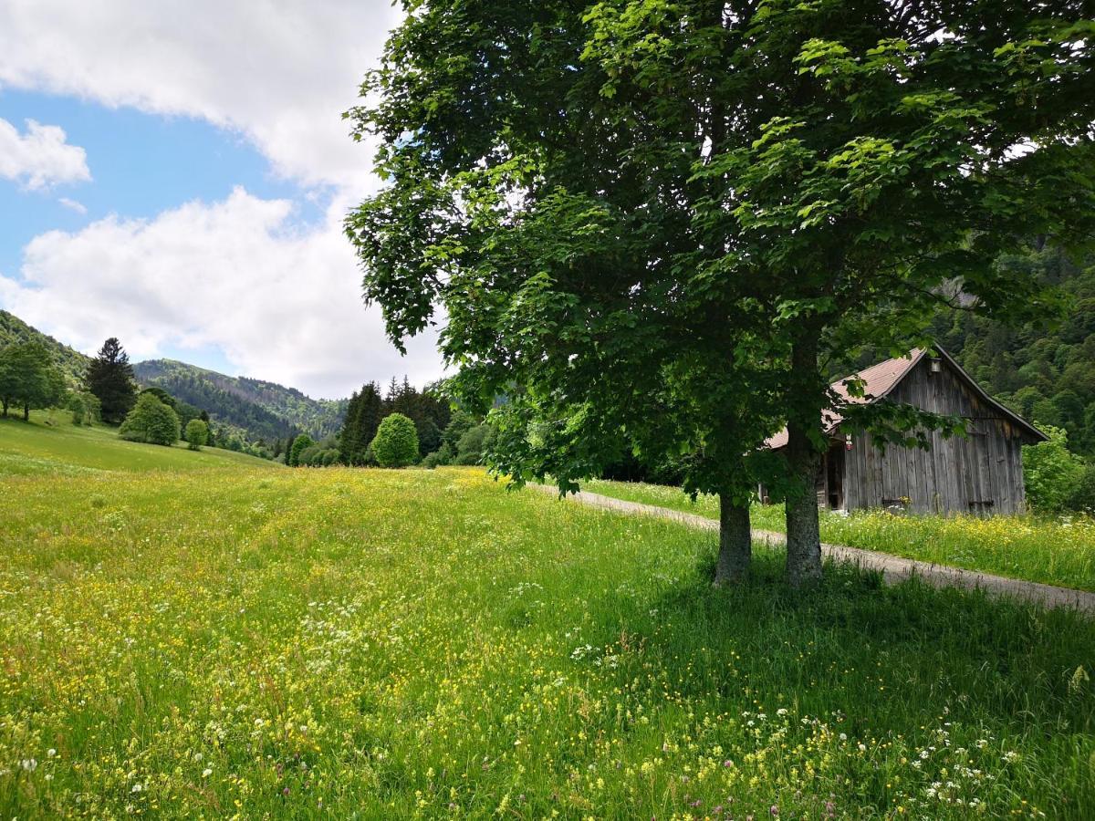 B1 Albmatte-Fewo Sauna, Hallenbad Aussenbecken Massagen Nebenan Менценшванд Екстер'єр фото