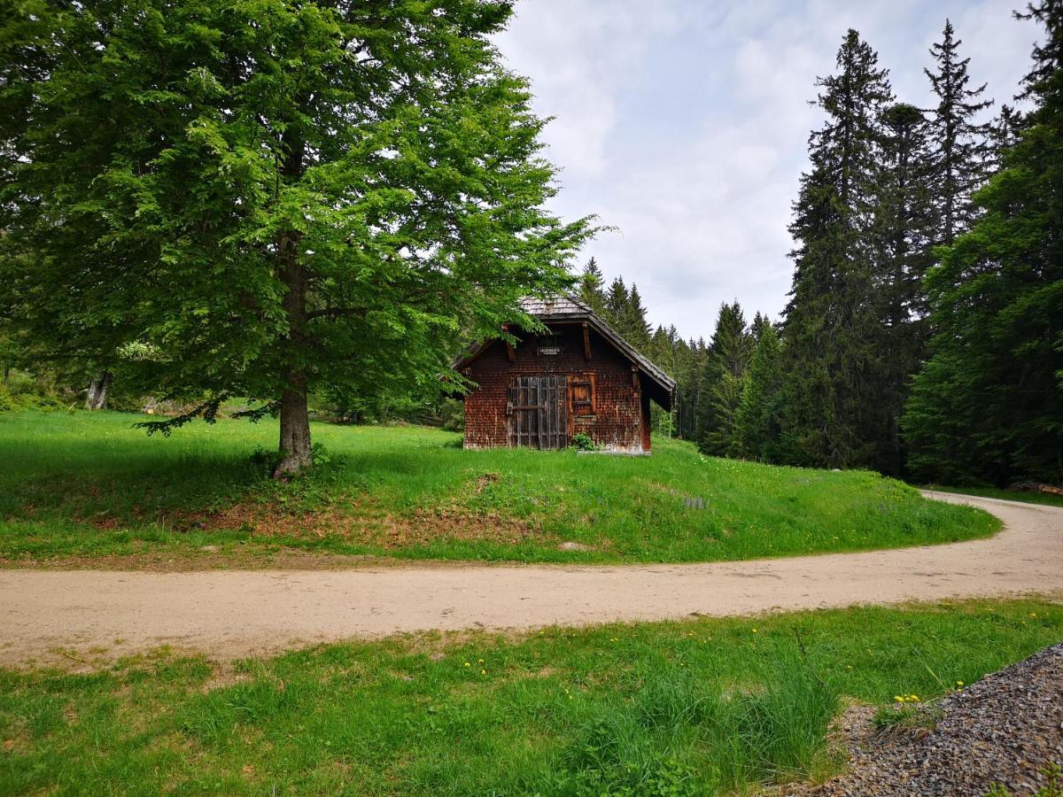 B1 Albmatte-Fewo Sauna, Hallenbad Aussenbecken Massagen Nebenan Менценшванд Екстер'єр фото