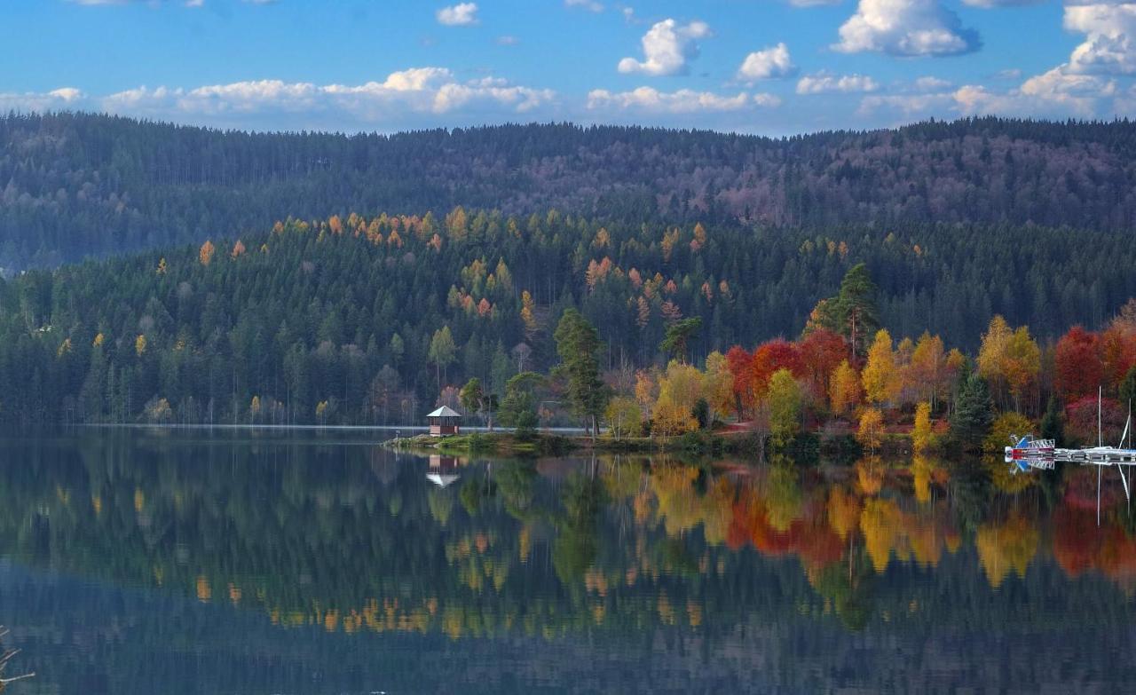 B1 Albmatte-Fewo Sauna, Hallenbad Aussenbecken Massagen Nebenan Менценшванд Екстер'єр фото