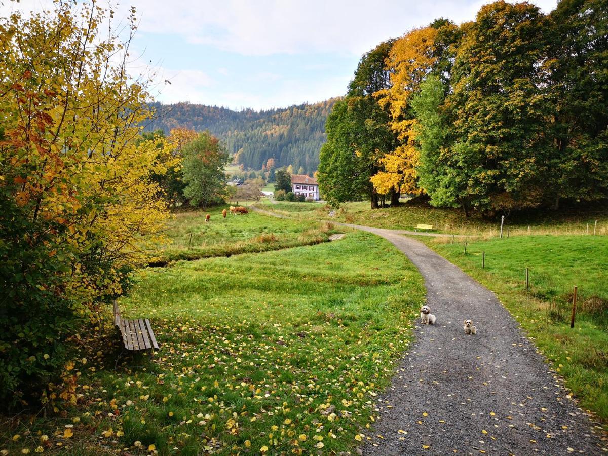 B1 Albmatte-Fewo Sauna, Hallenbad Aussenbecken Massagen Nebenan Менценшванд Екстер'єр фото
