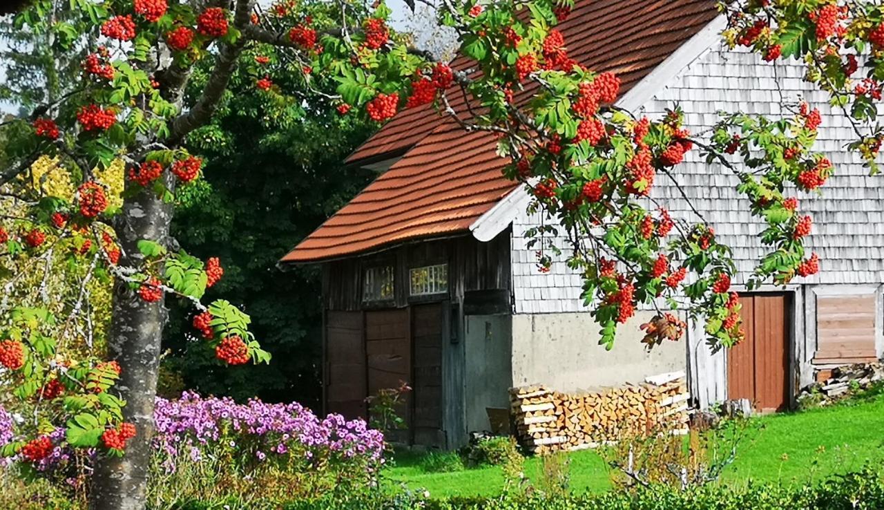 B1 Albmatte-Fewo Sauna, Hallenbad Aussenbecken Massagen Nebenan Менценшванд Екстер'єр фото