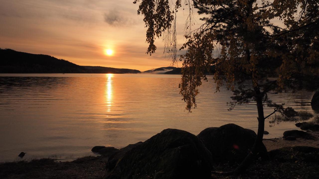 B1 Albmatte-Fewo Sauna, Hallenbad Aussenbecken Massagen Nebenan Менценшванд Екстер'єр фото