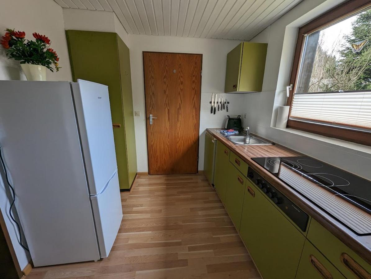B1 Albmatte-Fewo Sauna, Hallenbad Aussenbecken Massagen Nebenan Менценшванд Екстер'єр фото