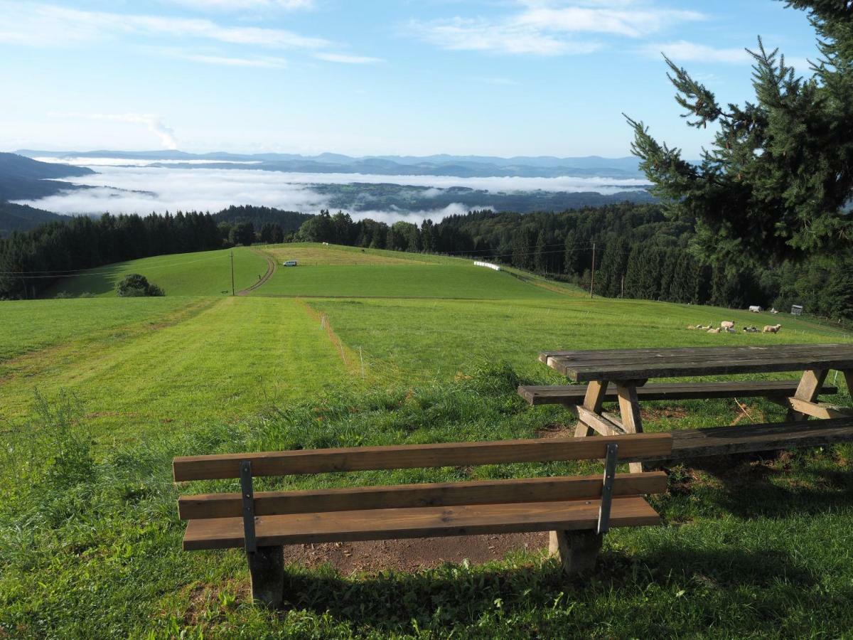 B1 Albmatte-Fewo Sauna, Hallenbad Aussenbecken Massagen Nebenan Менценшванд Екстер'єр фото