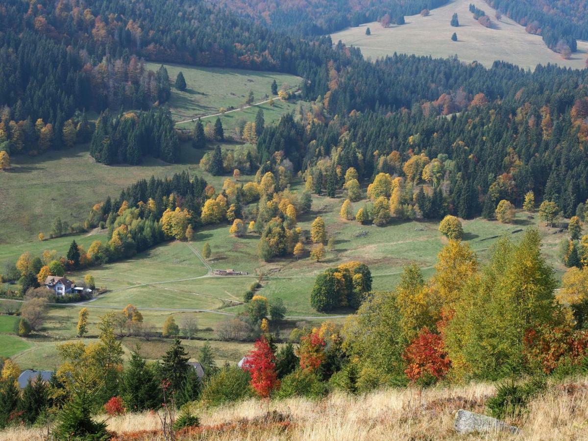 B1 Albmatte-Fewo Sauna, Hallenbad Aussenbecken Massagen Nebenan Менценшванд Екстер'єр фото