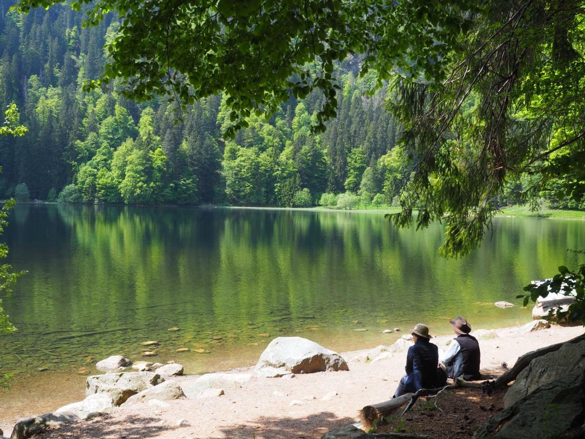 B1 Albmatte-Fewo Sauna, Hallenbad Aussenbecken Massagen Nebenan Менценшванд Екстер'єр фото