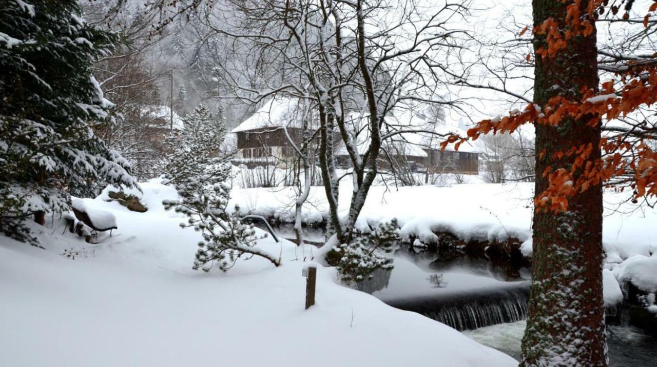 B1 Albmatte-Fewo Sauna, Hallenbad Aussenbecken Massagen Nebenan Менценшванд Екстер'єр фото